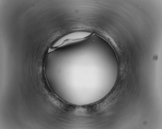 X0000098030257200804181237