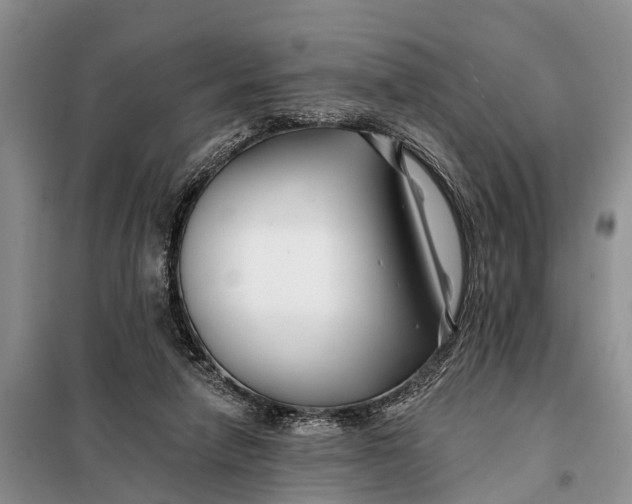 X0000098030258200804181237