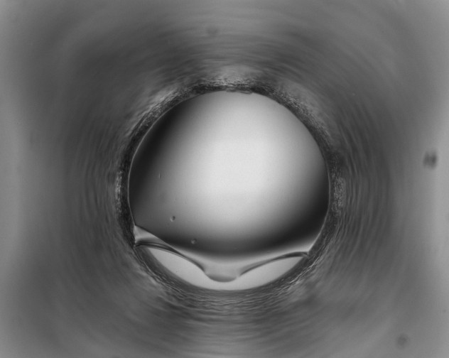 X0000098030260200804181237