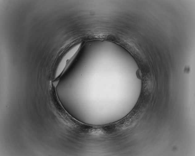 X0000098030262200804181237