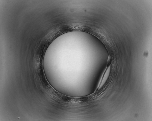 X0000098030263200804181237