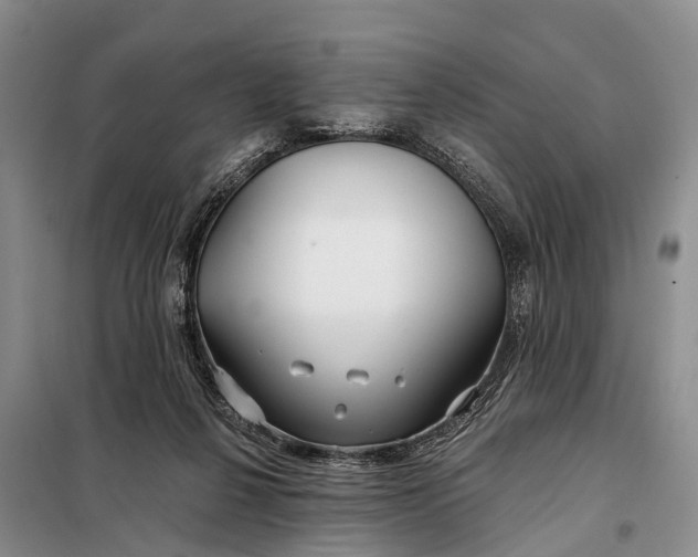 X0000098030264200804181237