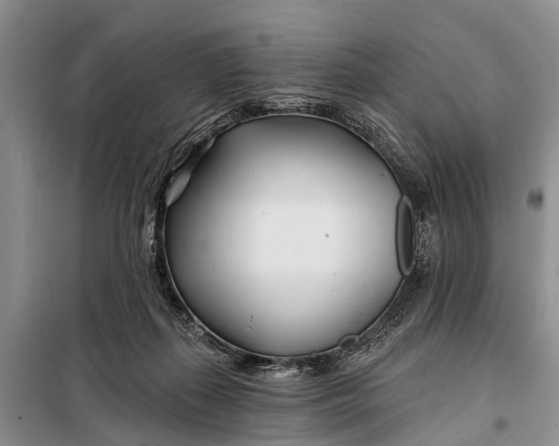 X0000098030267200804181237