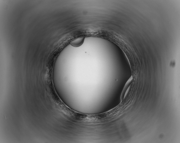 X0000098030270200804181237