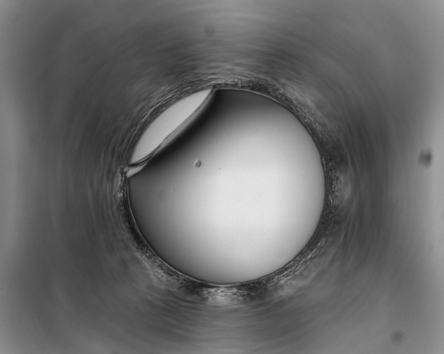 X0000098030273200804181237