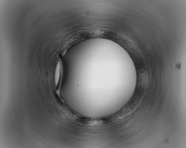 X0000098030274200804181237