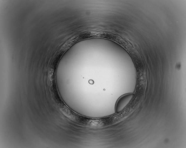 X0000098030275200804181237