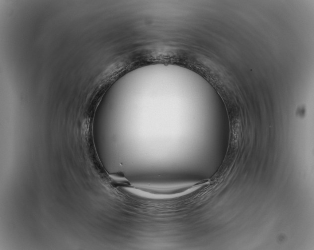 X0000098030278200804181237