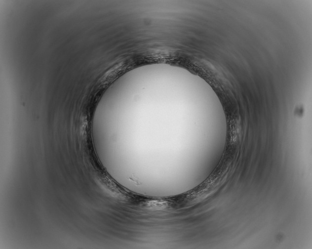 X0000098030279200804181237