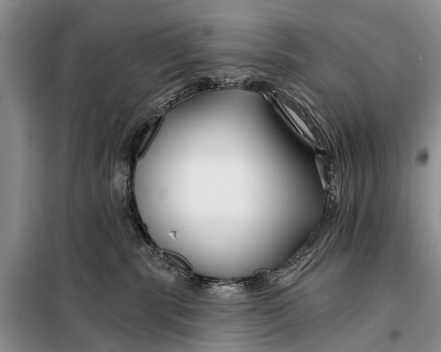 X0000098030283200804181237