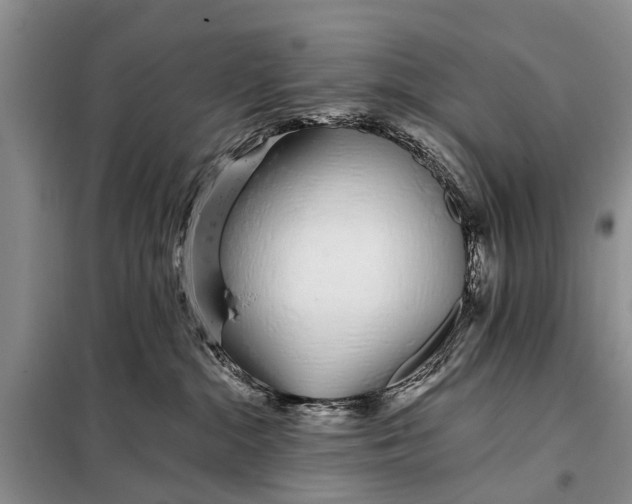 X0000098030284200804181237