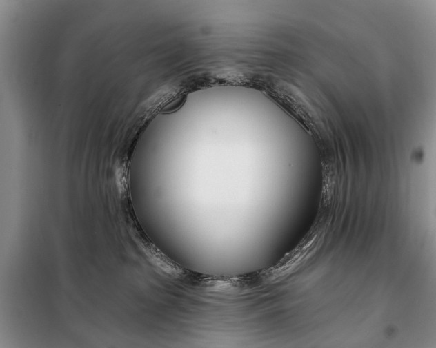 X0000098030285200804181237