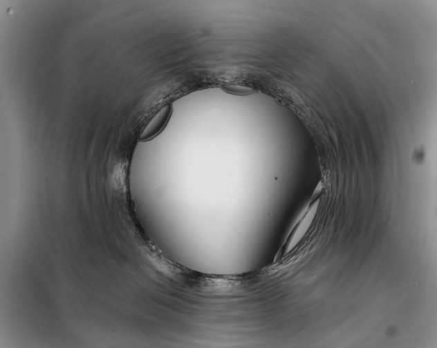 X0000098030286200804181237