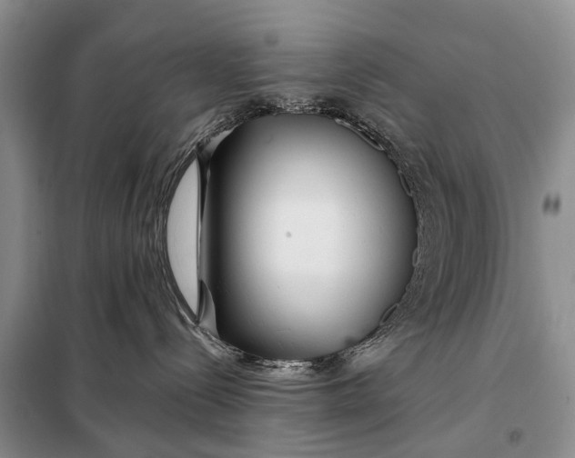 X0000098030288200804181237