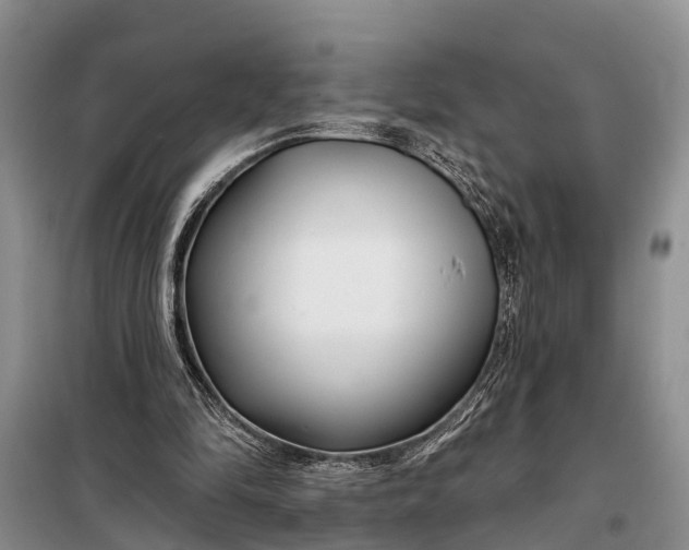 X0000098030294200804181236