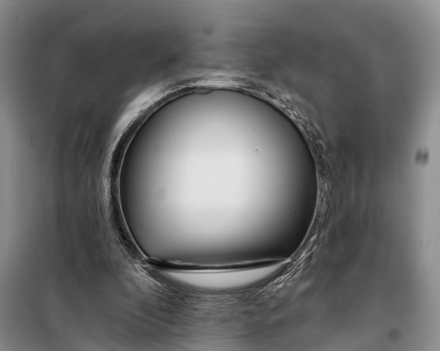 X0000098030296200804181236