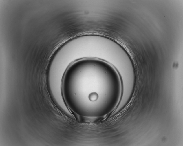 X0000098030297200804181236