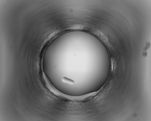 X0000098030300200804181236