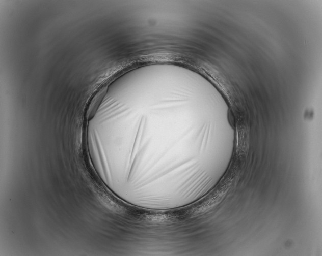 X0000098030301200804181236