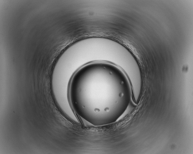 X0000098030305200804181236