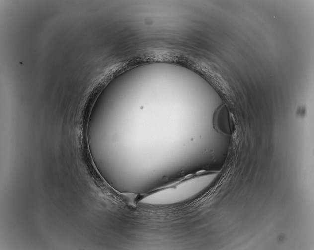 X0000098030306200804181236