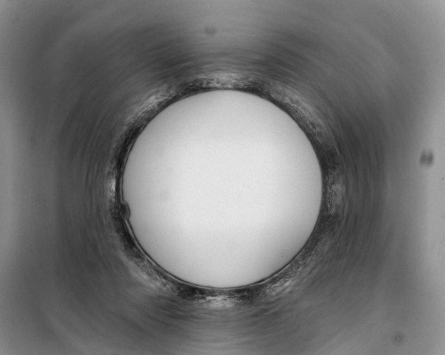 X0000098030310200804181236