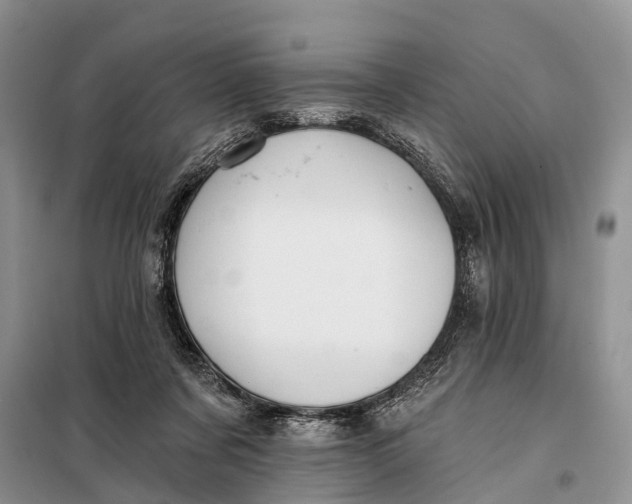 X0000098030311200804181236