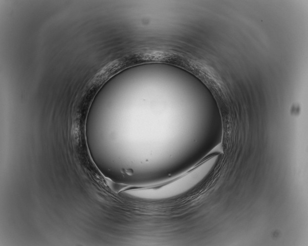 X0000098030312200804181236