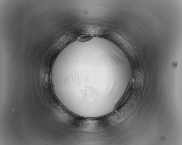 X0000098030313200804181236