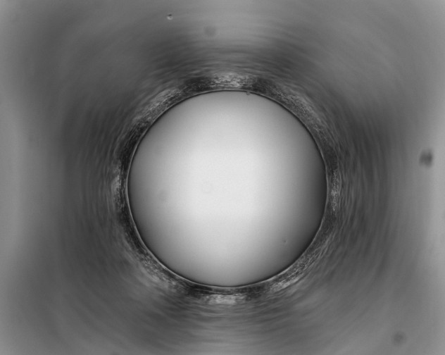 X0000098030314200804181236