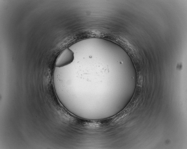 X0000098030318200804181236