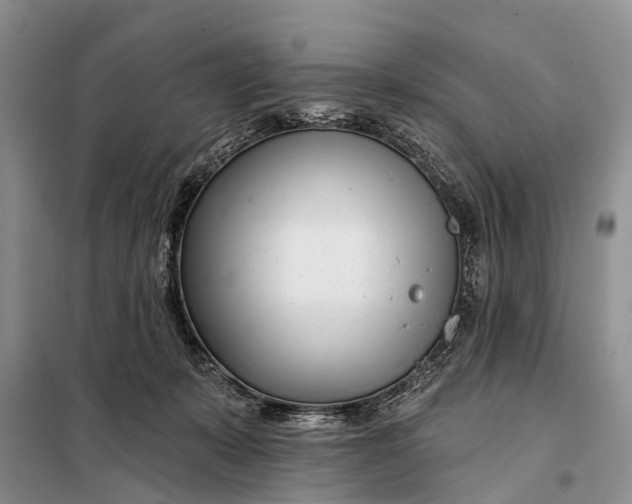 X0000098030319200804181236