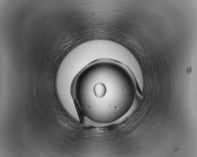 X0000098030320200804181236