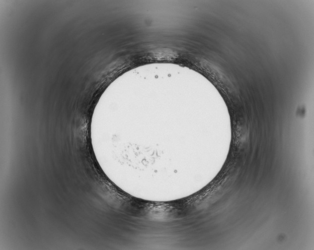 X0000098030321200804181236