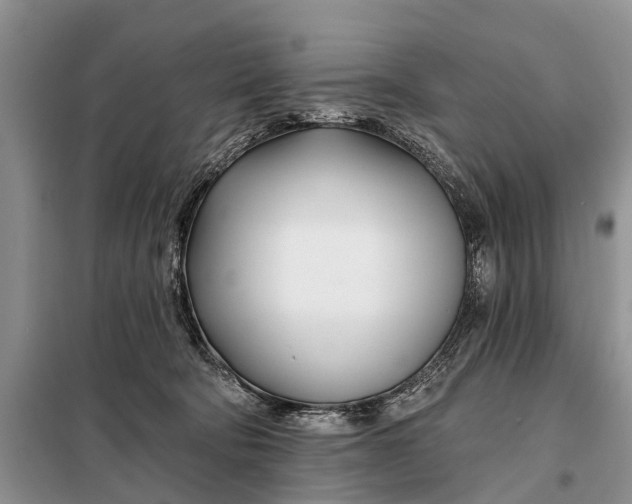 X0000098030322200804181236