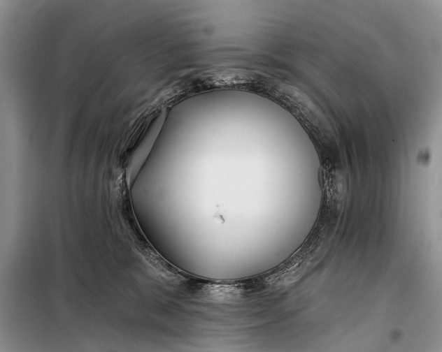 X0000098030327200804181236