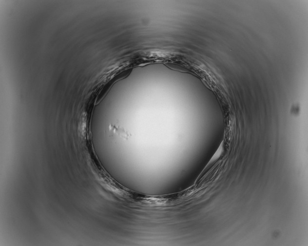 X0000098030328200804181236