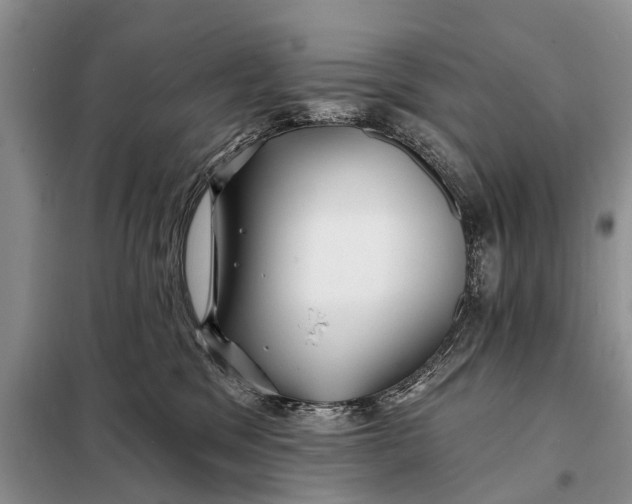 X0000098030329200804181236