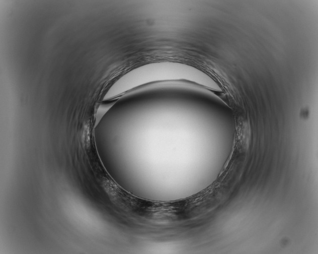 X0000098030333200804181236