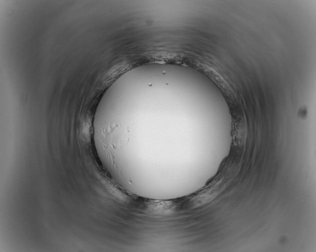 X0000098030334200804181236