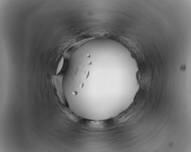 X0000098030335200804181236