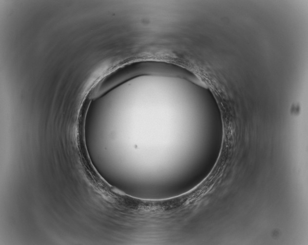 X0000098030340200804181235