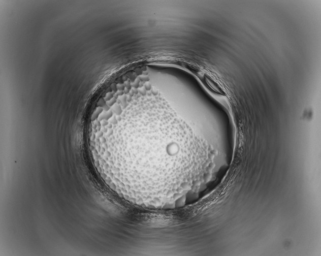 X0000098030347200804181235