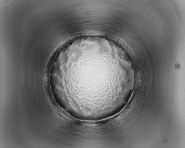 X0000098030351200804181235