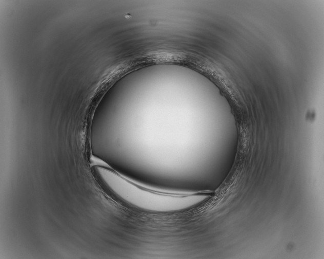 X0000098030357200804181235