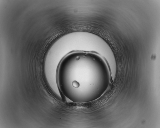 X0000098030360200804181235