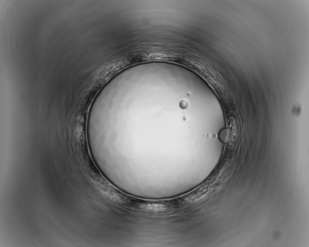 X0000098030361200804181235