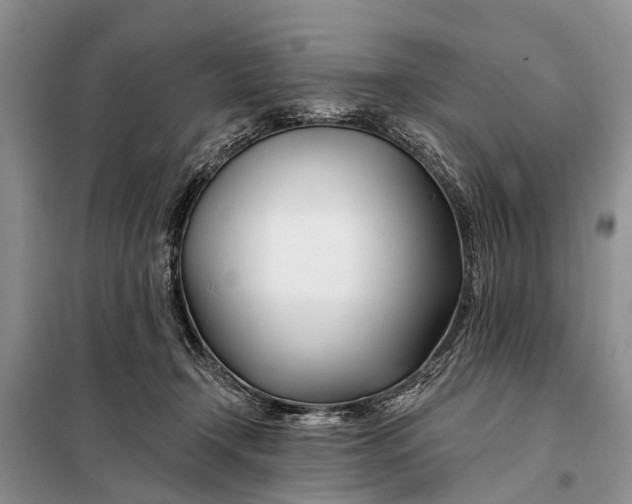 X0000098030366200804181235