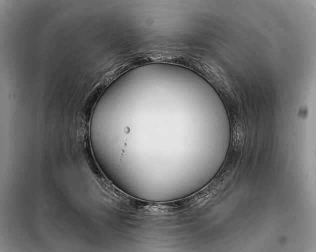 X0000098030367200804181235