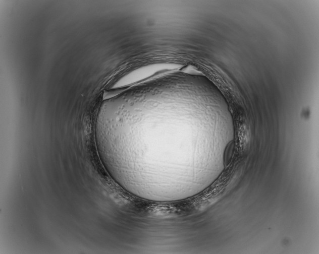 X0000098030372200804181235